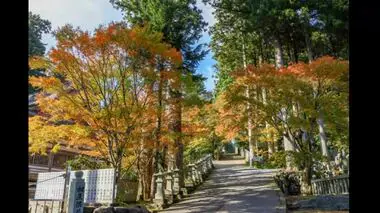 紅葉もうすぐ見頃に…香川・徳島県境近くの山寺　四国霊場「雲辺寺」は錦秋の装い【香川】