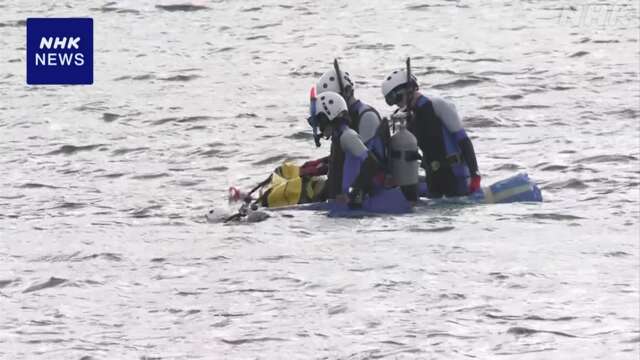 愛媛 宇和島 川底で死んでいたジンベエザメ 「海くん」と確認