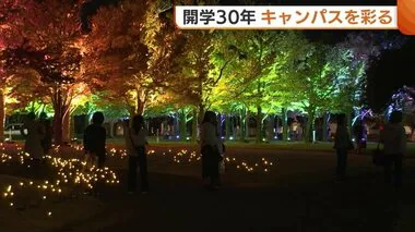 キャンパスが幻想的な世界に…長岡造形大学“開学30年”記念！校舎使ったプロジェクションマッピングに並木道のライトアップも♪