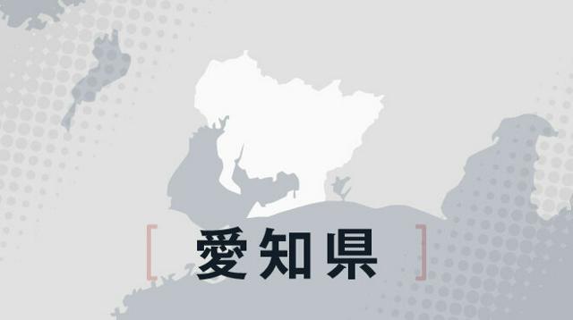 愛知・豊橋市長選、元市議の長坂氏が初当選　現職浅井氏ら得票及ばず