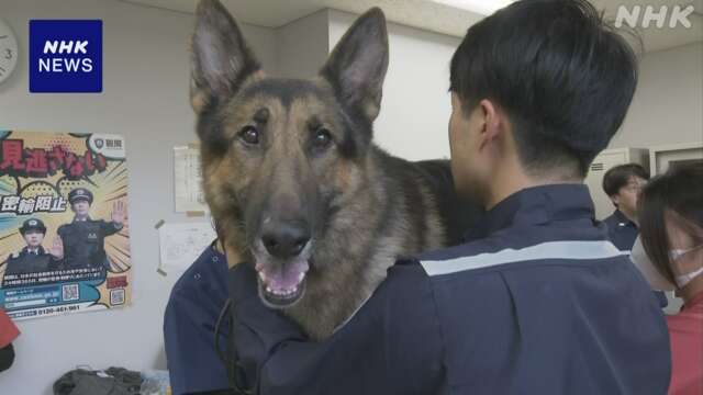 東京税関の麻薬探知犬が健康診断 職員に励まされワクチンも