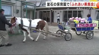 保育園でポニーの乗馬体験会　お礼にニンジン　被災地の子どもたちに笑顔を届ける　岩手・釜石市