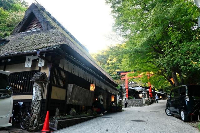 紅葉の嵐山　観光公害対策に「逆転の発想」　すいてる場所にカメラ