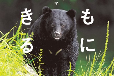 昨年度の捕殺は9000頭　動物写真家の考えるクマとヒトとの距離感