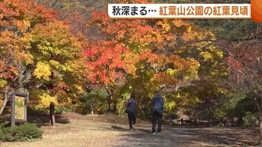 秋深まる佐渡…“紅葉山公園”の紅葉が見頃迎える！大佐渡スカイラインからは色づく島の様子も♪