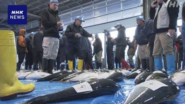 富山 氷見 ブリのシーズン告げる「ひみ寒ぶり宣言」復興へ期待