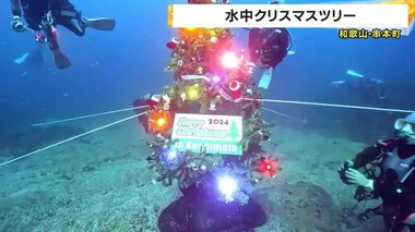 海の中のクリスマスツリー　サンタ姿のダイバーが設置　冬もダイビング楽しんで