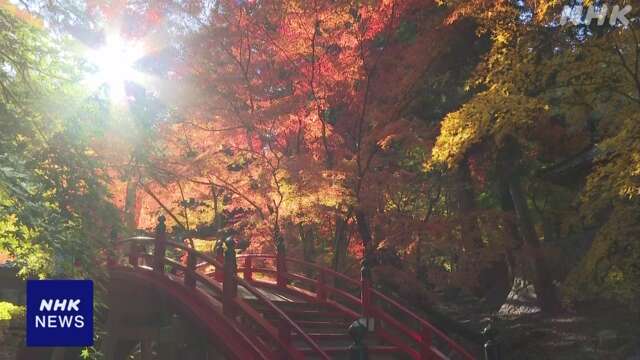 広島 世羅町の今高野山で紅葉が見ごろ 冷え込み色づき進む