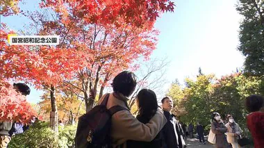 深まる秋…東京では赤く色づく紅葉やイチョウの“黄色いじゅうたん”を楽しむ人々　クリスマスツリー点灯式や屋外スケート場がオープンし冬の足音も聞こえ出す