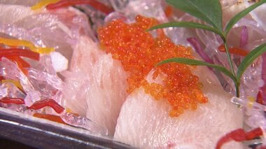 ブリよりウマイ？！「海のやっかいもの」が大逆転！平戸のシイラが美食家を虜にする訳【長崎発】