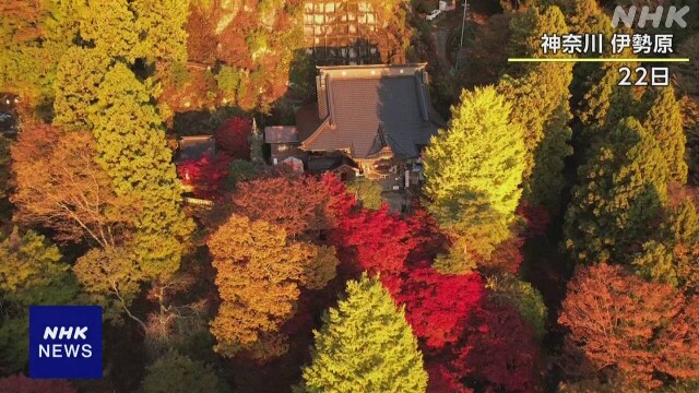 【ドローン撮影】神奈川 “大山”の紅葉