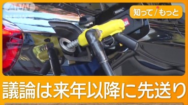 ガソリン減税、結論1年先送り　“マルバツ審議”は廊下で聞き耳　国民民主は？