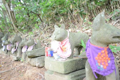 「キツネじゃないの」SNSでバズった神社の猫像　何のため？